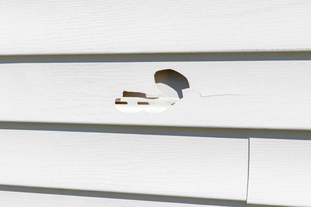 Best Siding Removal and Disposal  in Windsor, CA